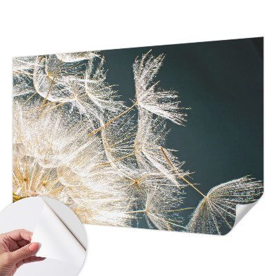 Fotobehang zelfklevend met een paardenbloemmotief in lichte tinten