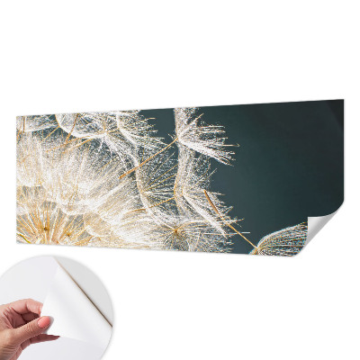 Fotobehang zelfklevend Paardenbloem van lichtheid