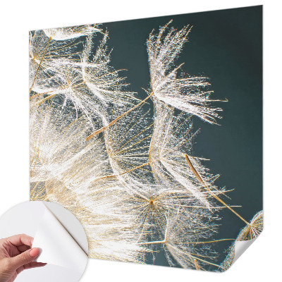 Fotobehang zelfklevend Paardenbloem van lichtheid