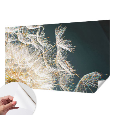 Fotobehang zelfklevend Paardenbloem van lichtheid