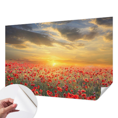 Fotobehang voor kinderkamer met het motief Papaverveld