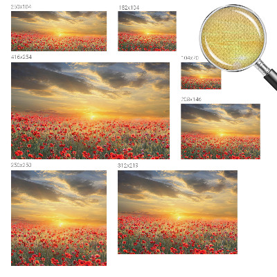 Fotobehang voor kinderkamer met het motief Papaverveld