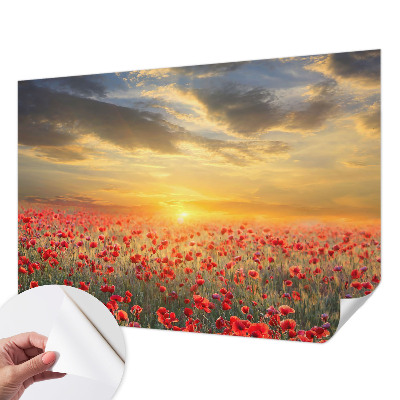 Fotobehang voor kinderkamer met het motief Papaverveld