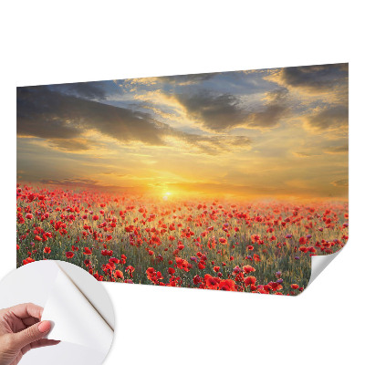 Fotobehang voor kinderkamer met het motief Papaverveld