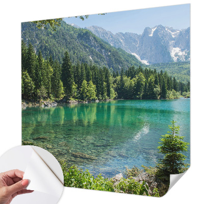 Fotobehang tienerkamer Groen meer