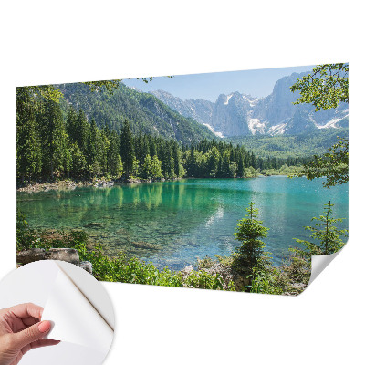 Fotobehang tienerkamer Groen meer