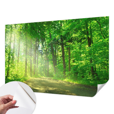 Fotobehang voor de kinderkamer met een bospad-motief