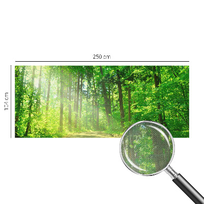 Fotobehang voor de kinderkamer Bospad