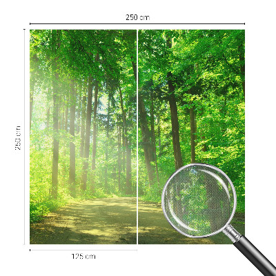 Fotobehang voor de kinderkamer Bospad