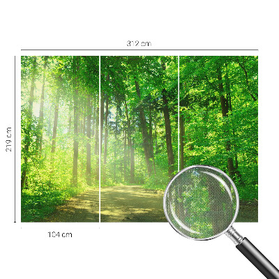 Fotobehang voor de kinderkamer Bospad