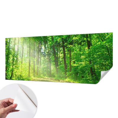 Fotobehang voor de kinderkamer met een bospad-motief