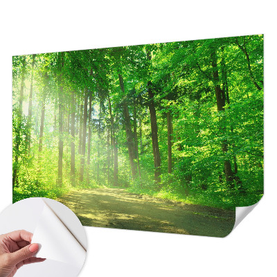Fotobehang voor de kinderkamer met een bospad-motief
