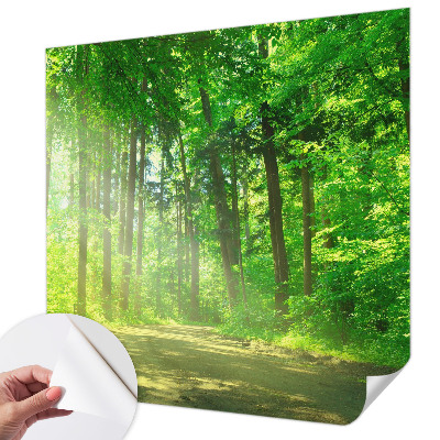 Fotobehang voor de kinderkamer met een bospad-motief