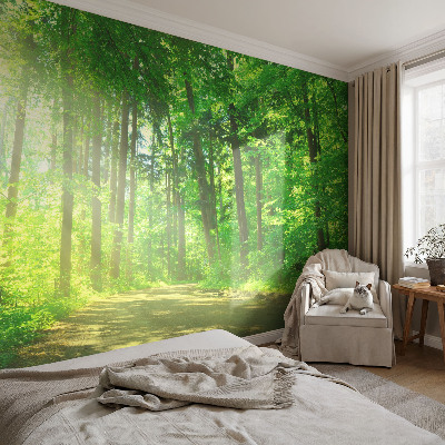 Fotobehang voor de kinderkamer met een bospad-motief