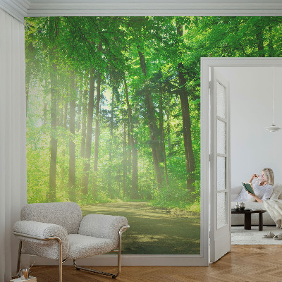 Fotobehang voor de kinderkamer met een bospad-motief