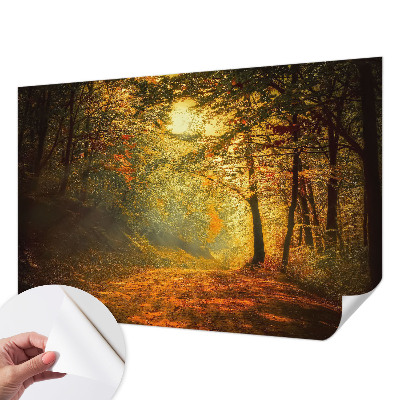 Foto behang voor de keuken met een herfstlandschap