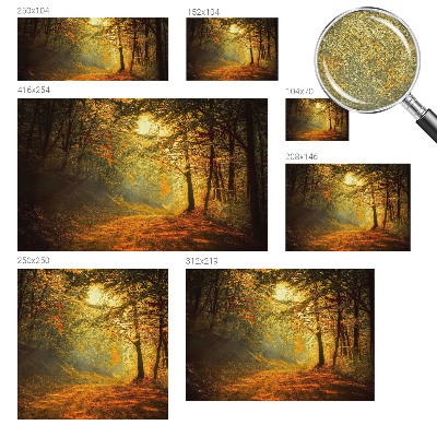 Foto behang voor de keuken met een herfstlandschap