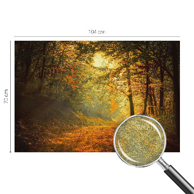 Foto behang voor de keuken met een herfstlandschap