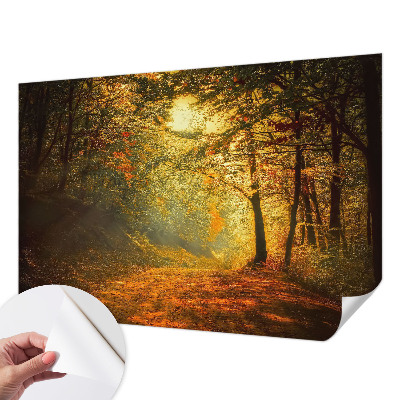 Foto behang voor de keuken met een herfstlandschap