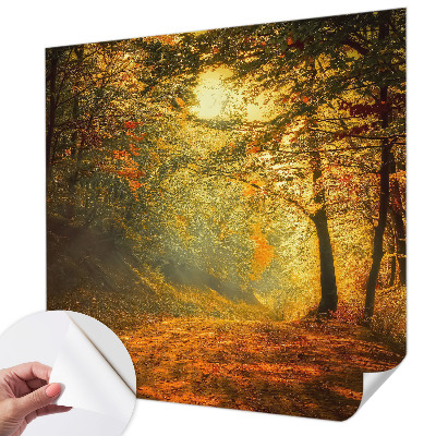 Foto behang voor de keuken met een herfstlandschap
