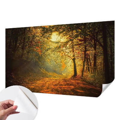 Foto behang voor de keuken Herfstlandschap