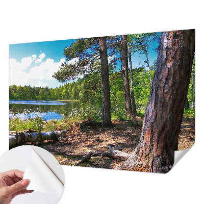 Zelfklevend fotobehang op maat met een boslandschap