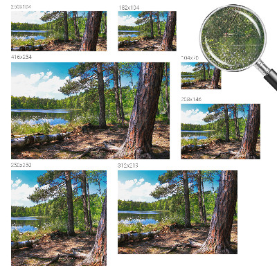 Zelfklevend fotobehang op maat Boslandschap