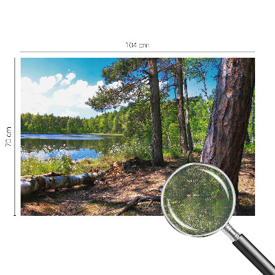 Zelfklevend fotobehang op maat met een boslandschap