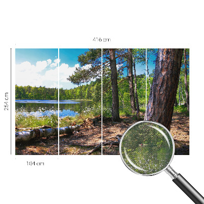 Zelfklevend fotobehang op maat met een boslandschap