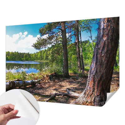Zelfklevend fotobehang op maat met een boslandschap
