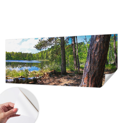 Zelfklevend fotobehang op maat met een boslandschap