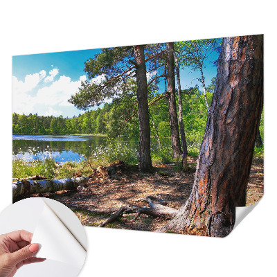 Zelfklevend fotobehang op maat met een boslandschap