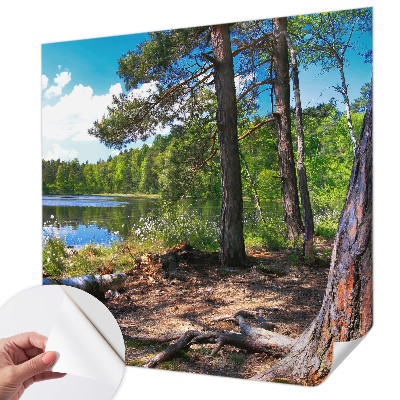 Zelfklevend fotobehang op maat met een boslandschap