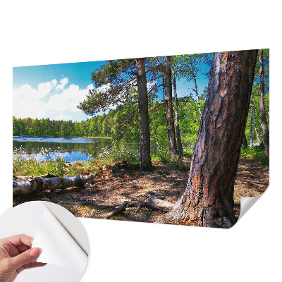 Zelfklevend fotobehang op maat met een boslandschap