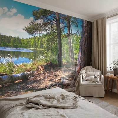 Zelfklevend fotobehang op maat met een boslandschap