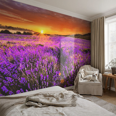 Fotobehang kinderkamer Lavendelzonsondergang