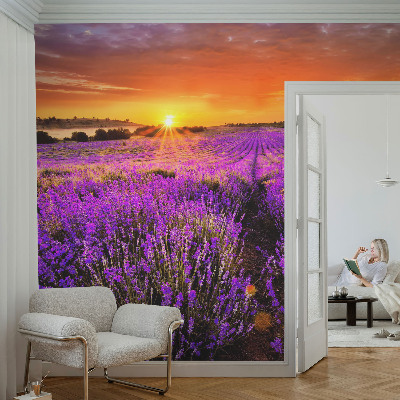 Fotobehang kinderkamer Lavendelzonsondergang