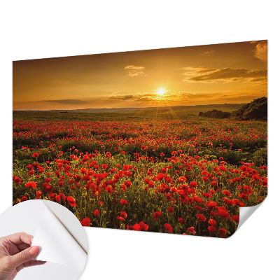 3D fotobehang met een veld van klaprozen