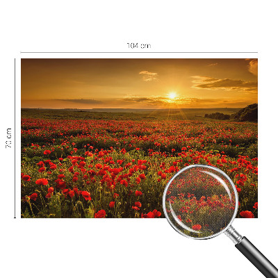 3D fotobehang met een veld van klaprozen