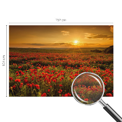 3D fotobehang met een veld van klaprozen