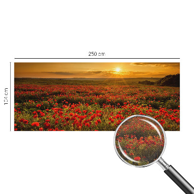 3D fotobehang met een veld van klaprozen