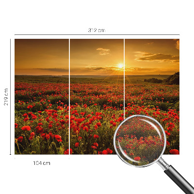 3D fotobehang met een veld van klaprozen