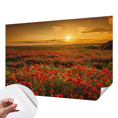 3D fotobehang met een veld van klaprozen