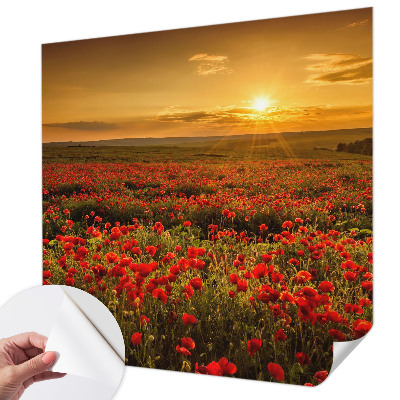 3D fotobehang met een veld van klaprozen