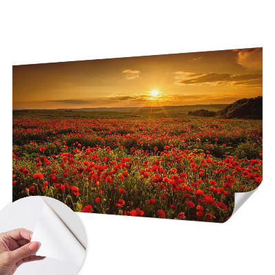 3D fotobehang met een veld van klaprozen