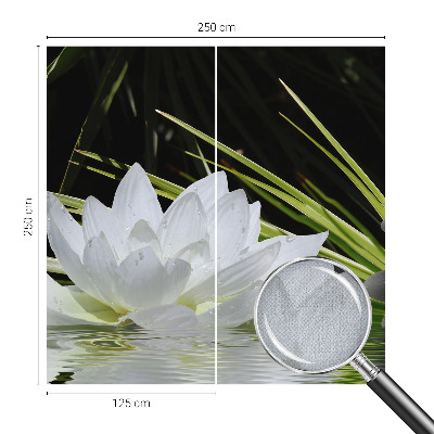 Zelfklevend fotobehang op maat Lelie-meditatie