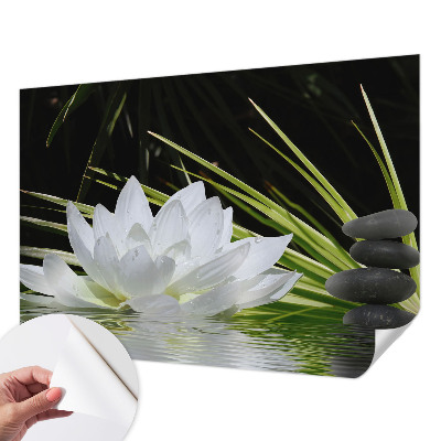 Zelfklevend fotobehang op maat met een mediterende lelie als motief