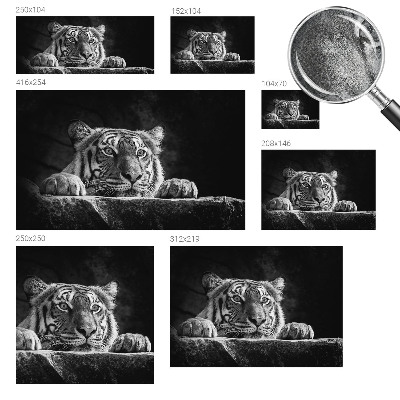 Fotobehang tienerkamer roofzuchtige blik