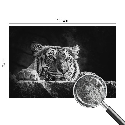 Fotobehang tienerkamer roofzuchtige blik