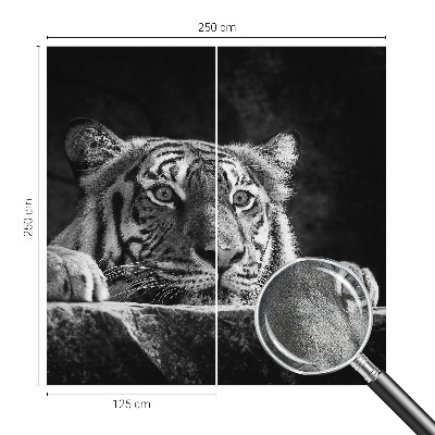 Fotobehang tienerkamer roofzuchtige blik